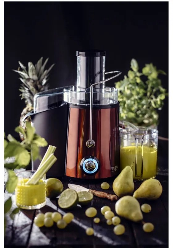 Αποχυμωτής Adler AD 4129, 1000/2000W, 2 ταχύτητες, 1l, σύστημα προστασίας από στάγδην, Μαύρο/μπρονζέ