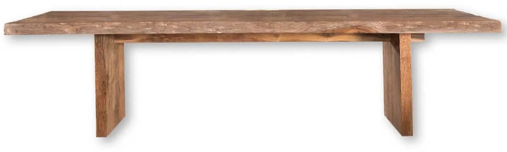Double Dining Table S Line 3m X 1.1m ενιαίο μασίφ SS283-00N3