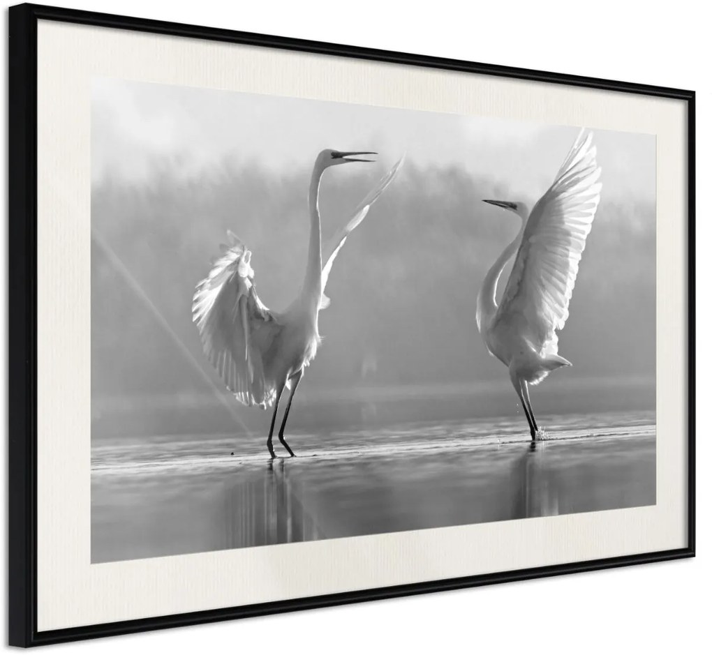 Αφίσα - Black and White Herons - 30x20 - Μαύρο - Με πασπαρτού