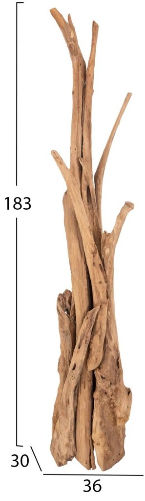 ΚΑΛΟΓΕΡΟΣ  ΑΠΟ ΜΑΣΙΦ ΞΥΛΟ TEAK ΦΥΣΙΚΟ 170-200ΕΚ.