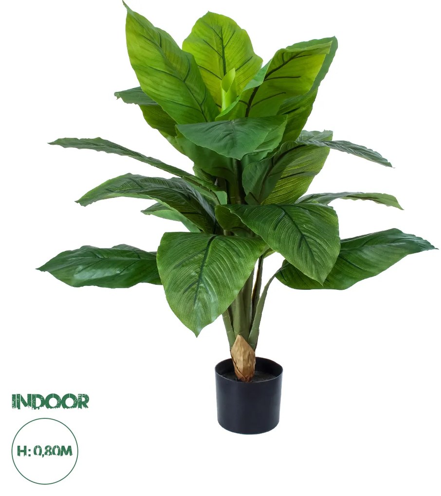 GloboStar® Artificial Garden ROHDEA JAPONICA 20068 Τεχνητό Διακοσμητικό Φυτό Ιαπωνέζικη Ροδέα Υ80cm