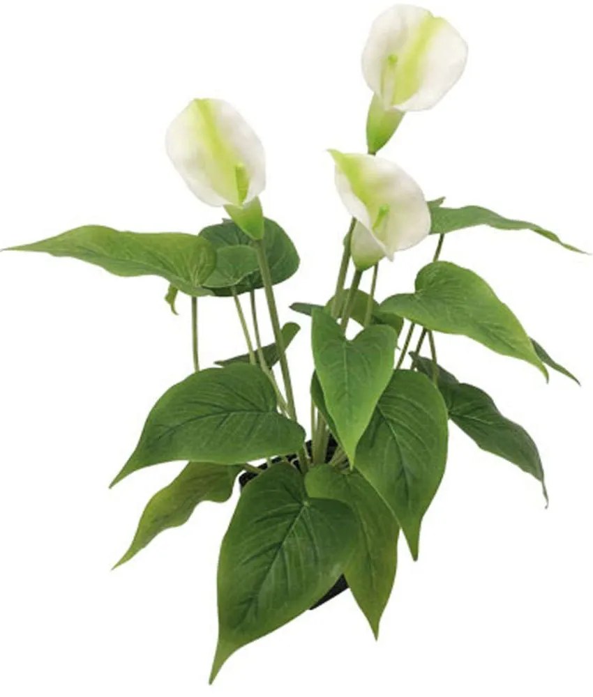 Τεχνητό Φυτό Σε Γλάστρα Ανθούριο 04-00-18752 43cm Green-Ecru Marhome Συνθετικό Υλικό
