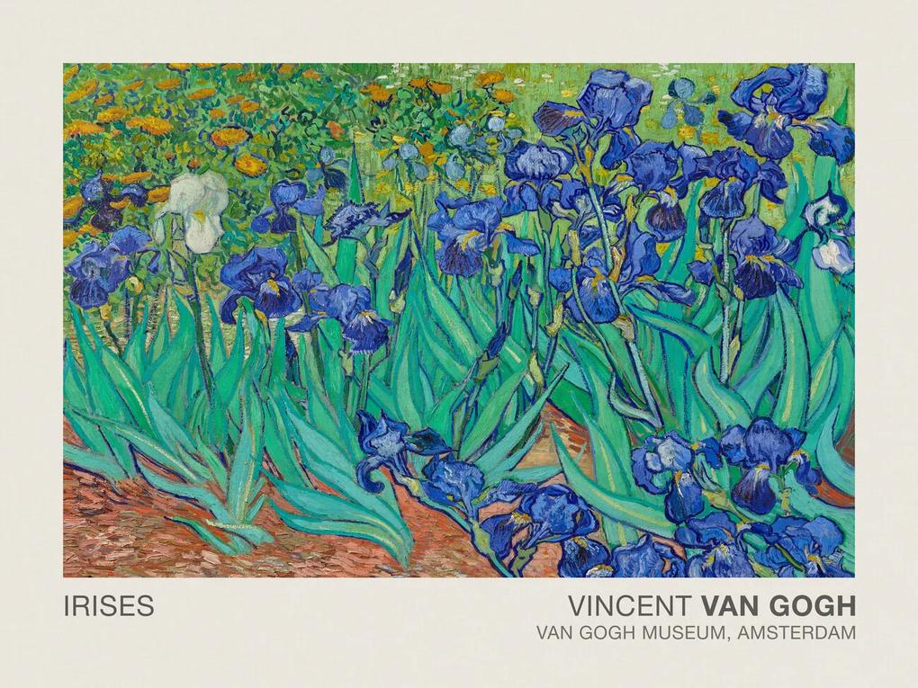 Αναπαραγωγή Irises (Museum Vintage Floral / Flower Landscape) - Vincent van Gogh, (40 x 30 cm)
