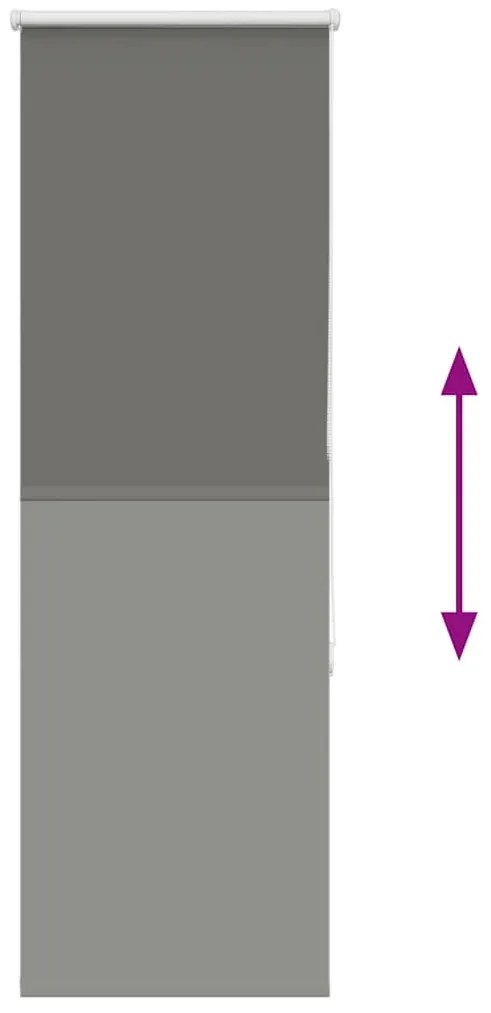 vidaXL Ρολέρ Μπλακάουτ γκρί 55x175 cm Πλάτος υφάσματος 50,7 cm