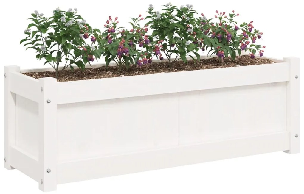 vidaXL Ζαρντινιέρες 2 τεμ. Λευκό από Μασίφ Ξύλο Πεύκου