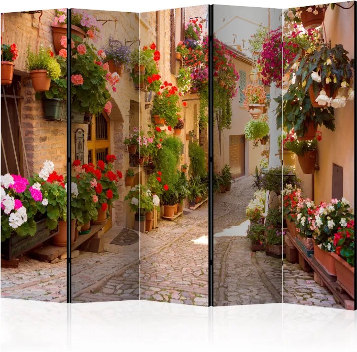 Διαχωριστικό με 5 τμήματα - The Alley in Spello (Italy) II [Room Dividers]