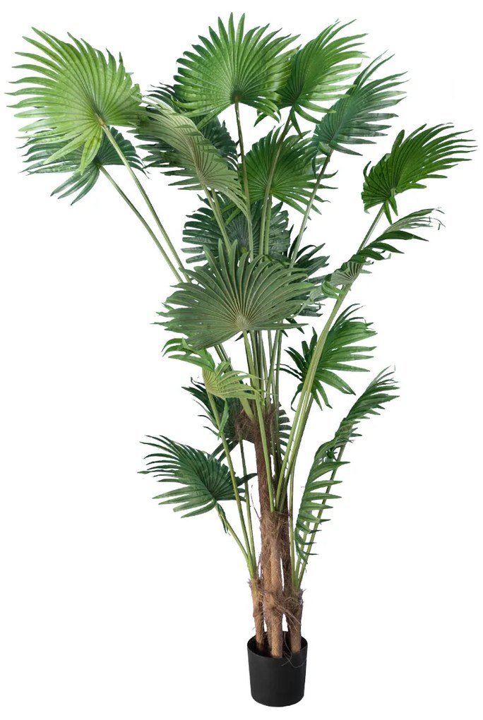 GloboStar® Artificial Garden PALM TREE 20014 Τεχνητό Διακοσμητικό Φυτό Φοινικόδεντρο Βεντάλια Υ210cm