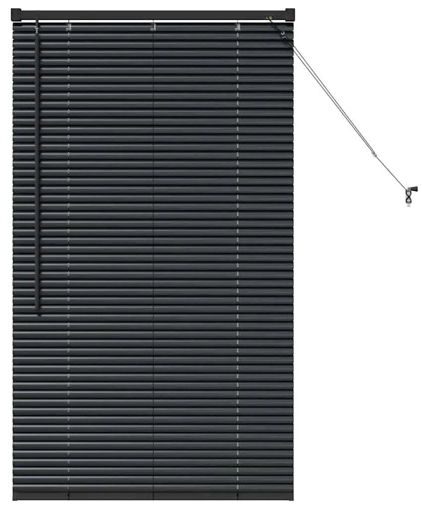vidaXL Ρολό Παραθύρου με κουρτίνες Μαύρο Αλουμίνιο