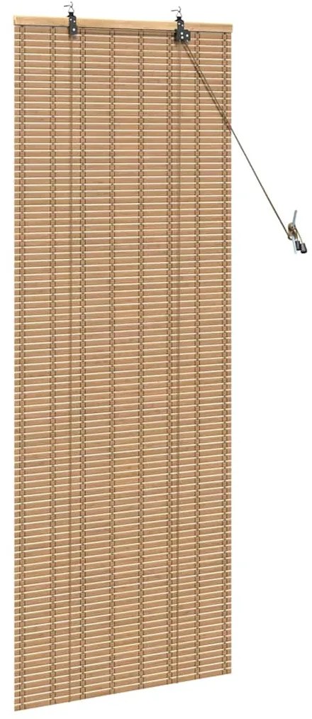 vidaXL Ρολά και Σκίες Παραθύρων Ανοιχτό καφέ 60 x 160 εκ. Μπαμπού