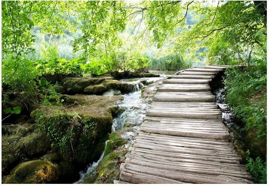 Αυτοκόλλητη φωτοταπετσαρία - Forest path - 98x70