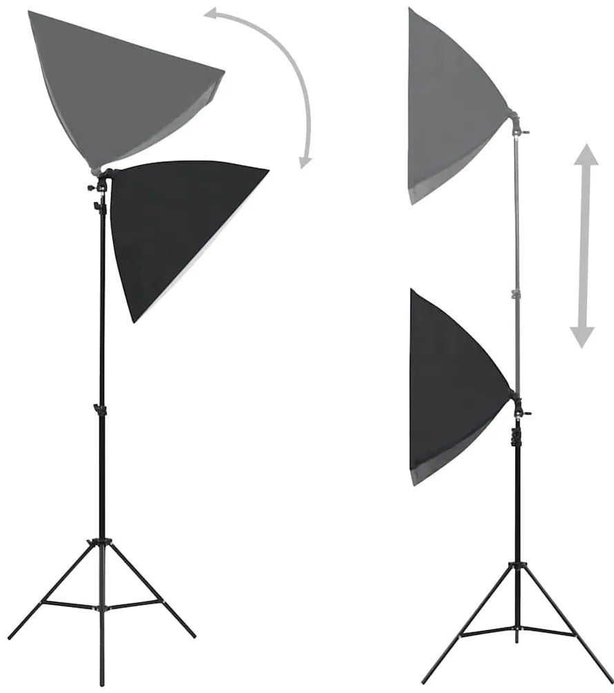 vidaXL Φωτιστικά Studio Επαγγελματικά 2 τεμ. Μαύρα 40x60 εκ. Ατσάλινα