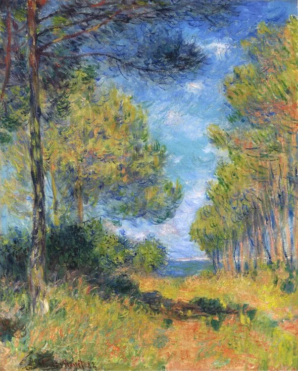 Αναπαραγωγή Allée de sapins à Varengeville, Claude Monet