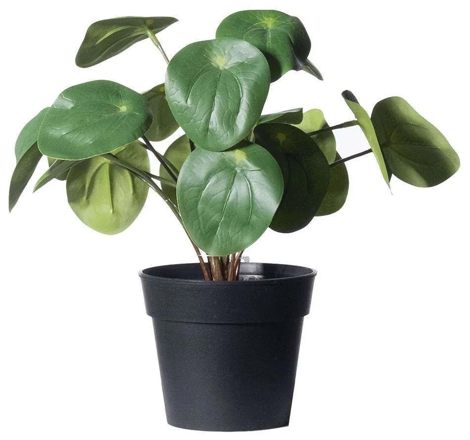 Τεχνητό Φυτό Πεπερόμια Abbreviata 5160-6 22cm Green Supergreens Πολυαιθυλένιο