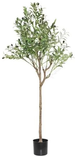 New plan OLIVE TREE NP1384_150 ΥΨΟΣ 150cm Τεμαχιο