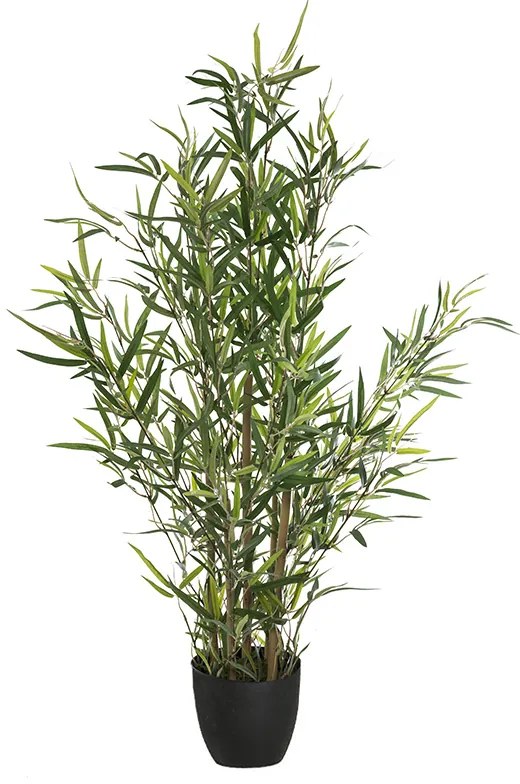 Φυτό σε γλάστρα Green10 pakoworld 63x55x90εκ 199-000295
