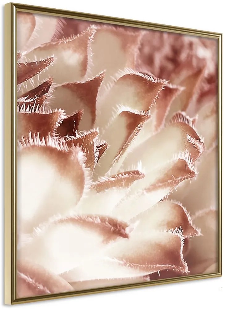 Αφίσα - Floral Calyx - 50x50 - Χρυσό - Χωρίς πασπαρτού