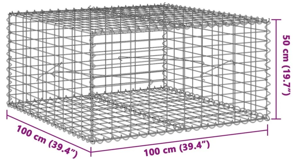 Συρματοκιβώτιο με Κάλυμμα 100x100x50εκ. από Γαλβανισμένο Χάλυβα - Ασήμι