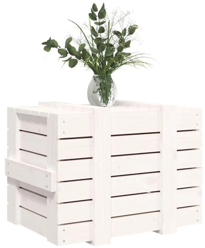 Κουτί Αποθήκευσης Λευκό 58x40,5x42 εκ. από Μασίφ Ξύλο Πεύκου - Λευκό