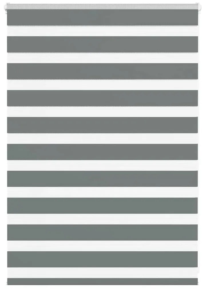 vidaXL Ζέβρα τυφλή Σκούρο Γκρι Πλάτος υφάσματος 95,9 εκ. Πολυεστέρας