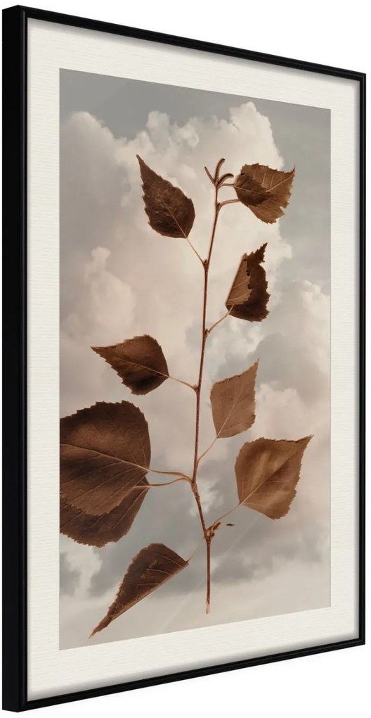 Αφίσα - Leaves in the Clouds - 20x30 - Μαύρο - Με πασπαρτού