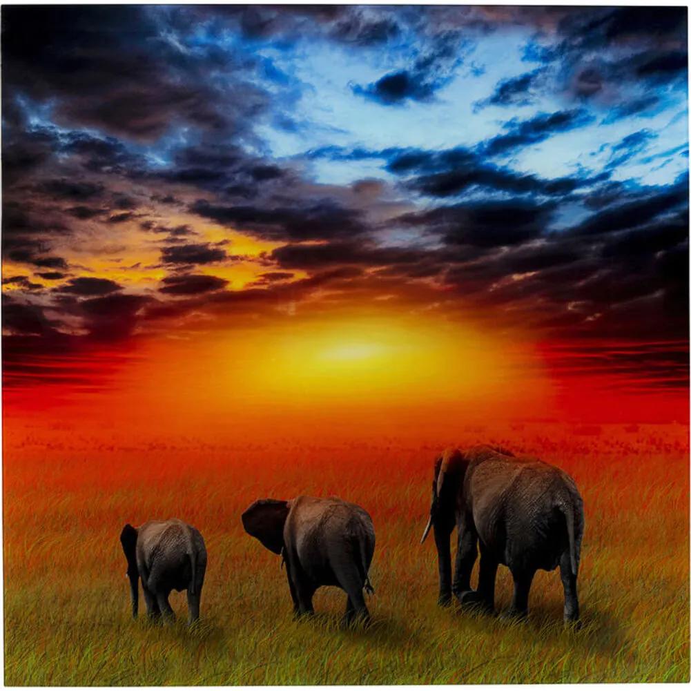 Πίνακας Γυάλινος Ελέφαντες Στην Σαβάνα Μπλε-Πορτοκαλί 100x0.4x100εκ