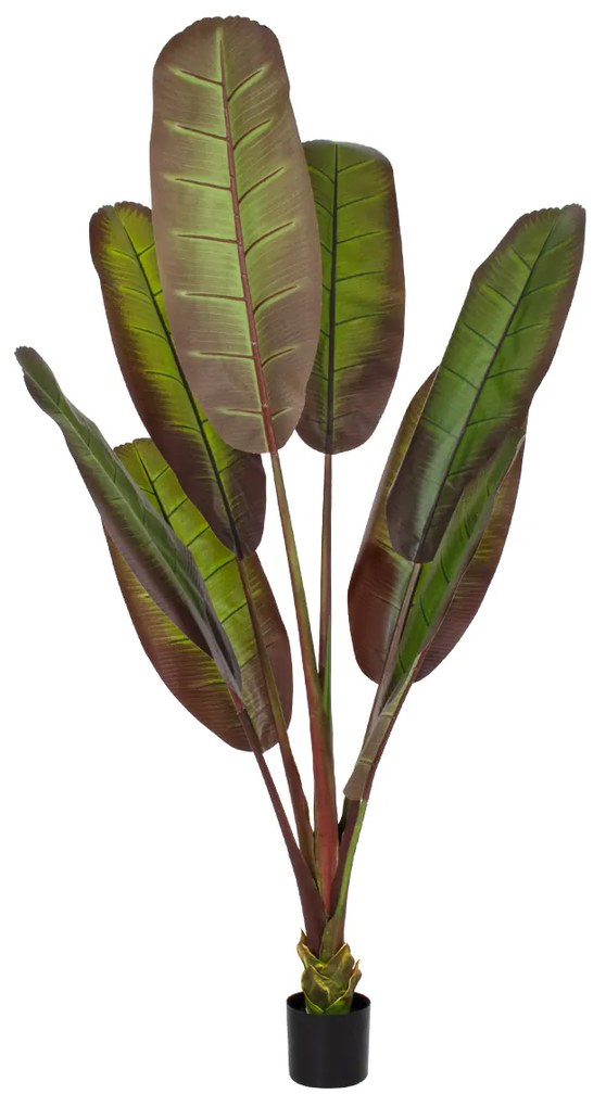 GloboStar® Artificial Garden BLOODY BANANA TREE 20119 Τεχνητό Διακοσμητικό Φυτό Αιματόφυλλη Μπανανιά - Μπανανόδεντρο Υ220cm