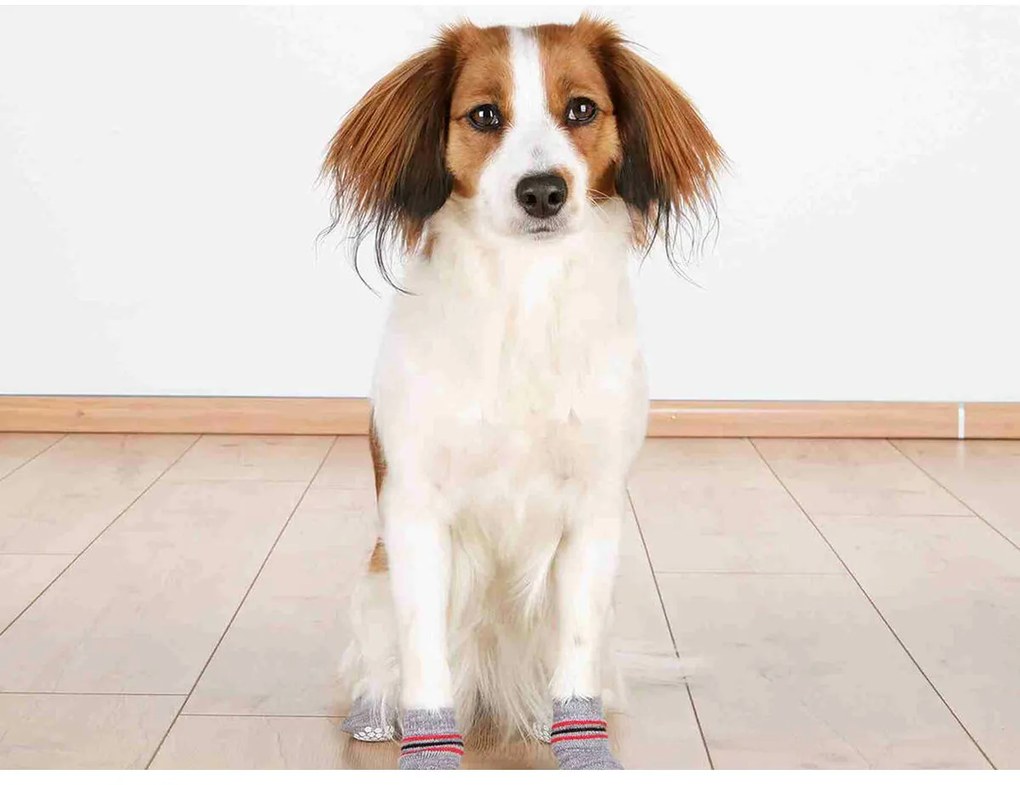 Κάλτσες Trixie Γκρι M/L Σκύλος