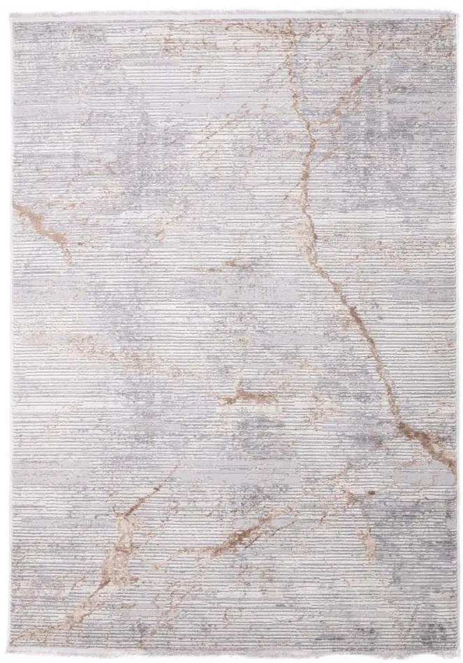 Χαλί Fargo 22196 Royal Carpet &#8211; 240×300 cm 240X300