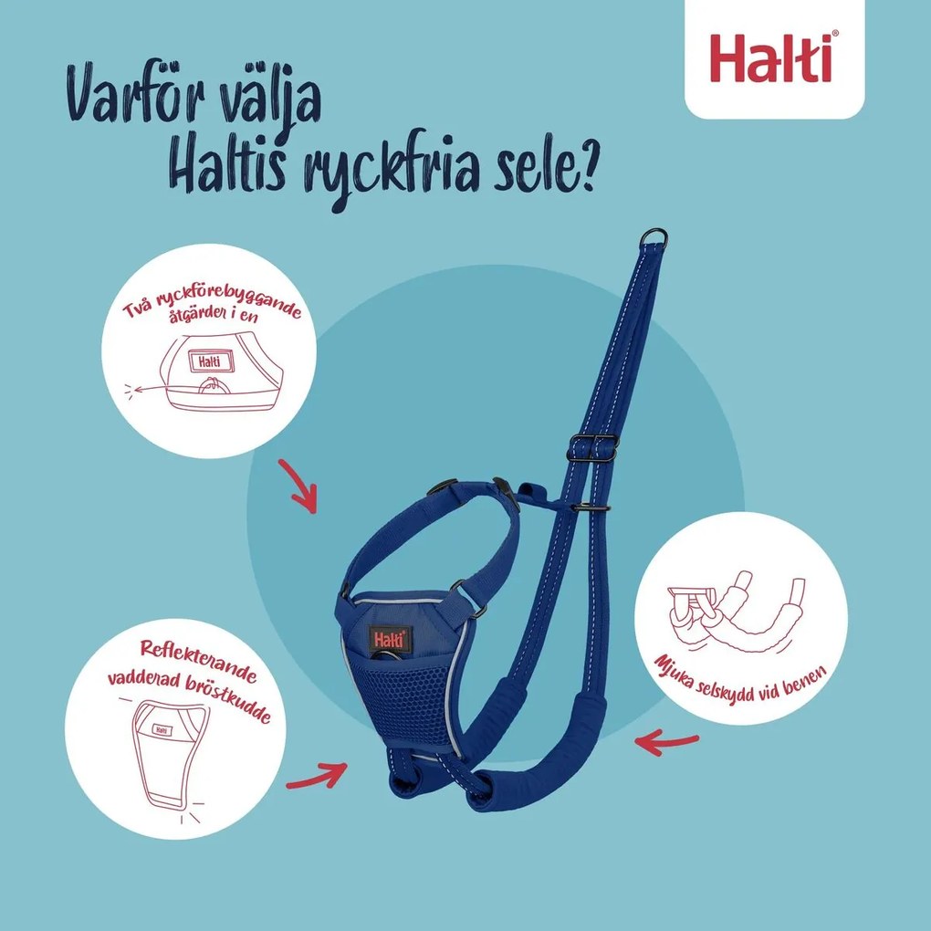 Λουρί Σκύλου Company of Animals COBALT Μπλε L