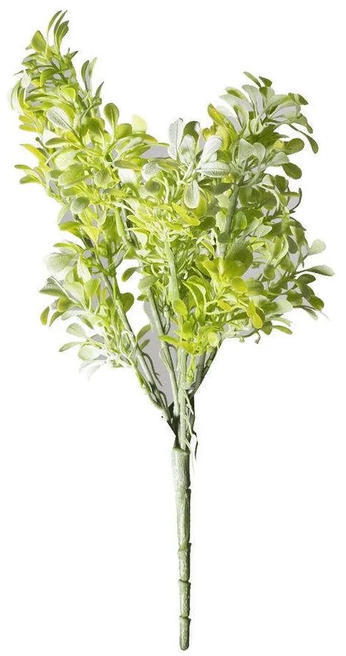 Τεχνητό Χωνευτό Σέντουμ 2621-7 15x36cm Green Supergreens Polyethylene