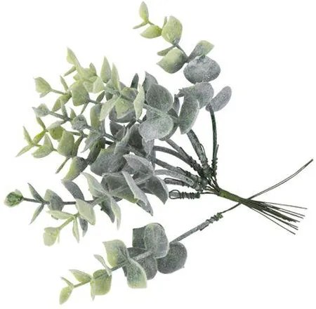 Beauty Home ΤΕΧΝHΤΑ ΚΛΑΔΑΚΙΑ ΕΥΚΑΛΥΠΤΟΥ 17 CM