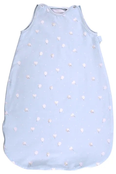 LORELLI ΧΕΙΜΕΡΙΝΟΣ ΥΠΝΟΣΑΚΟΣ ΒΑΜΒΑΚΕΡΟΣ 80CM TRAIN BLUE 20810386002R