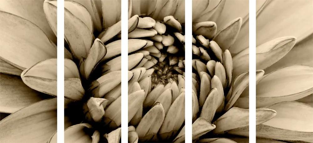 Εικόνα 5 μερών ντάλια με λεπτομέρεια σε σέπια - 100x50