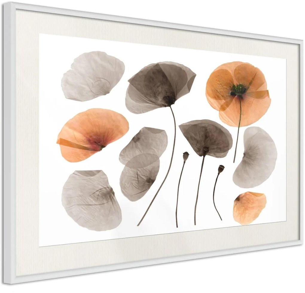 Αφίσα - Dried Poppies - 30x20 - Χρυσό - Χωρίς πασπαρτού