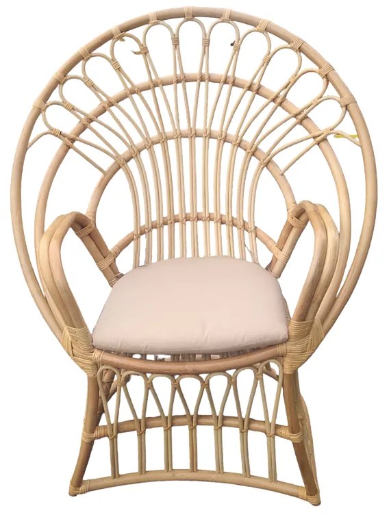 Πολυθρόνα Boloni Inart με μπεζ μαξιλάρι-φυσικό rattan 100x67x120εκ