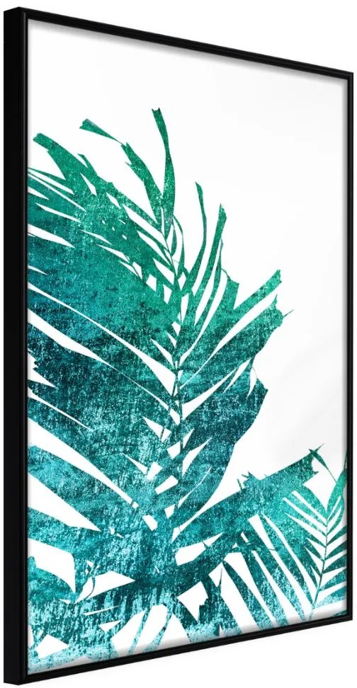 Αφίσα - Teal Palm on White Background - 30x45 - Μαύρο - Χωρίς πασπαρτού