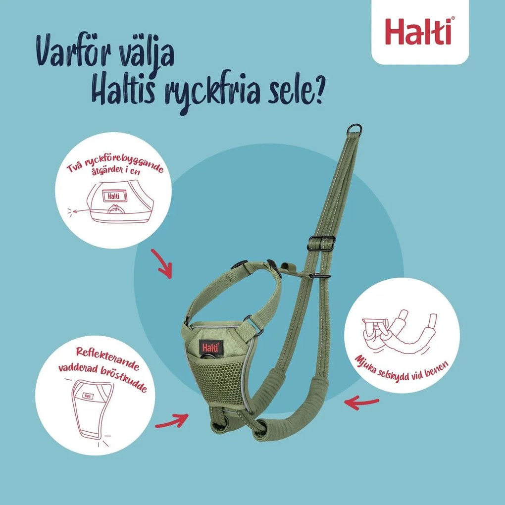 Λουρί Σκύλου Company of Animals FOREST Πράσινο 20