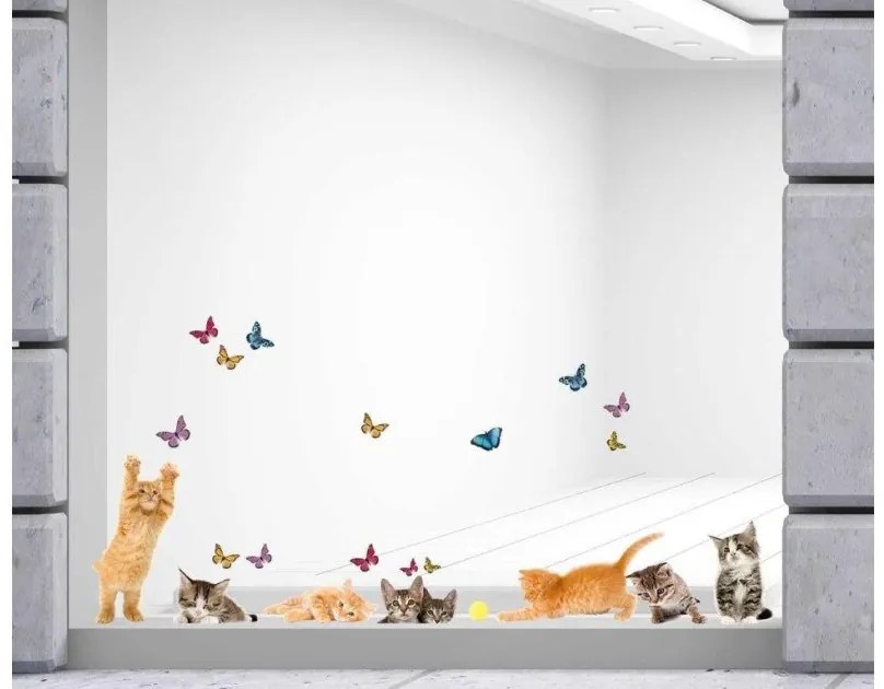 Αυτοκόλλητα βινυλίου για τζάμι Γάτες M Cats 64001 Ango Dalber-64001-Πολύχρωμο 64001