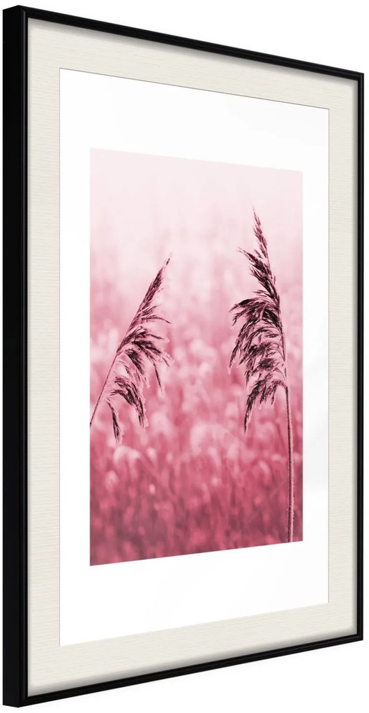 Αφίσα - Amaranth Meadow - 20x30 - Μαύρο - Με πασπαρτού