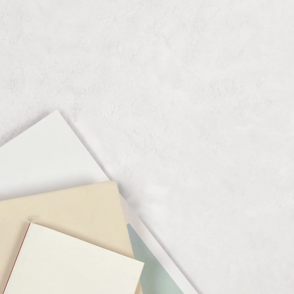 vidaXL Χαλιά Ψεύτικου Κουνελιού Olite Λευκό 60 x 90 cm Πολυεστέρας