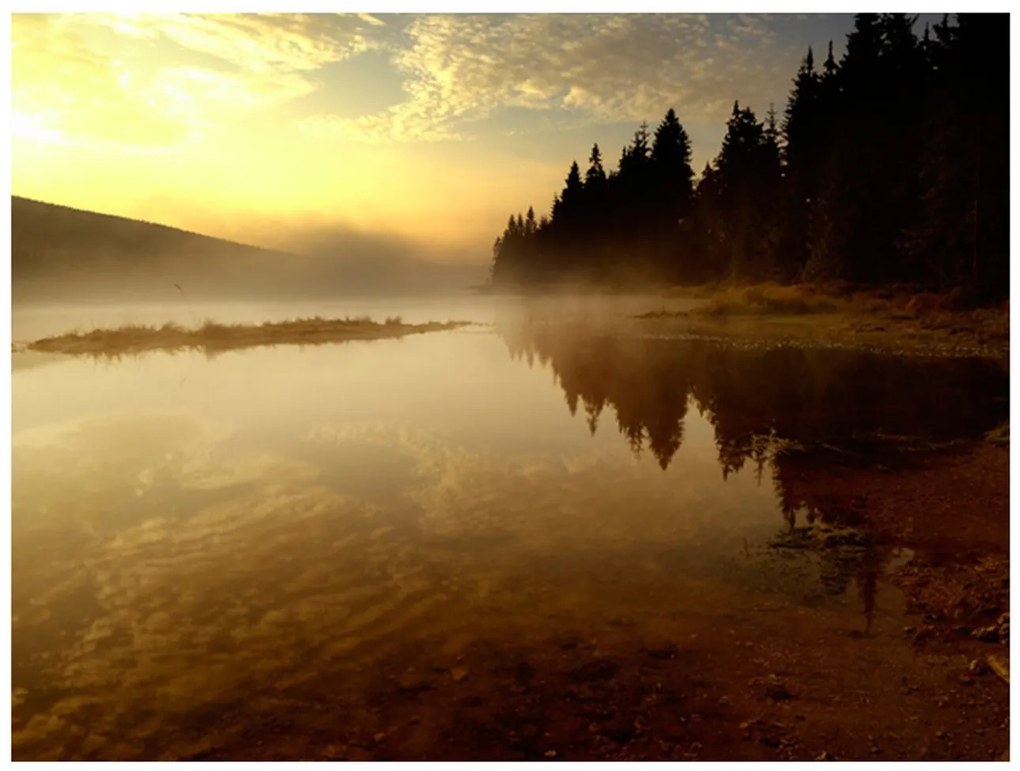 Φωτοταπετσαρία - Forest and lake 200x154