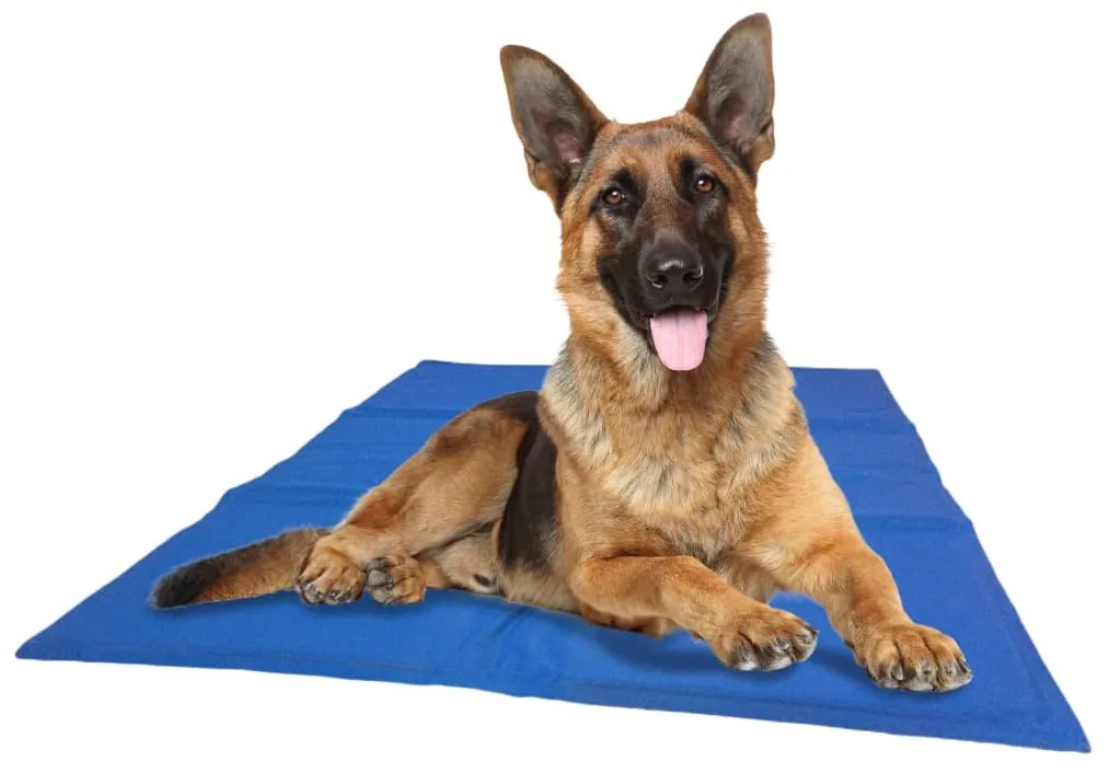 425148 @Pet Dog Cooling Mat Blue L 50x90 cm - Μπλε