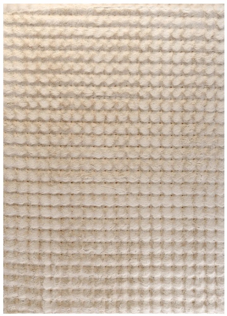 FUZZY 200X290 ΤΑΠ. ACRYLIC  368-0-580-26164-060