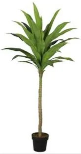 Supergreens Τεχνητό Δέντρο Δράκαινα 170 εκ. - 7130-6 - 7130-6