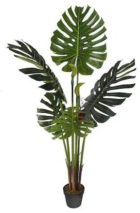 Supergreens Τεχνητό Δέντρο Μονστέρα Deliciosa "Prime" Πράσινο 160 εκ