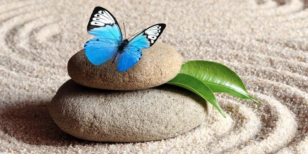 Εικόνα μιας μπλε πεταλούδας σε μια πέτρα Ζεν - 100x50