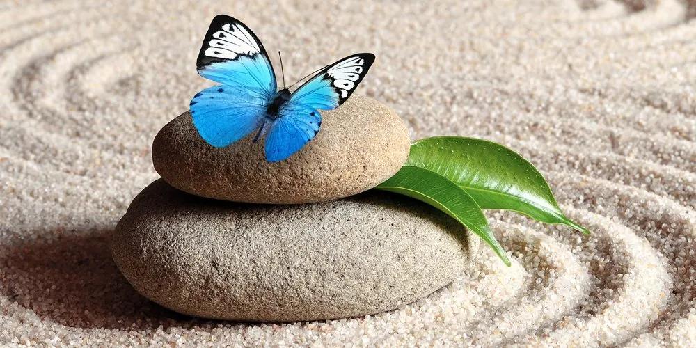 Εικόνα μιας μπλε πεταλούδας σε μια πέτρα Ζεν