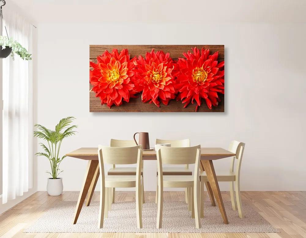 Εικόνα με κόκκινα λουλούδια ντάλια - 120x60