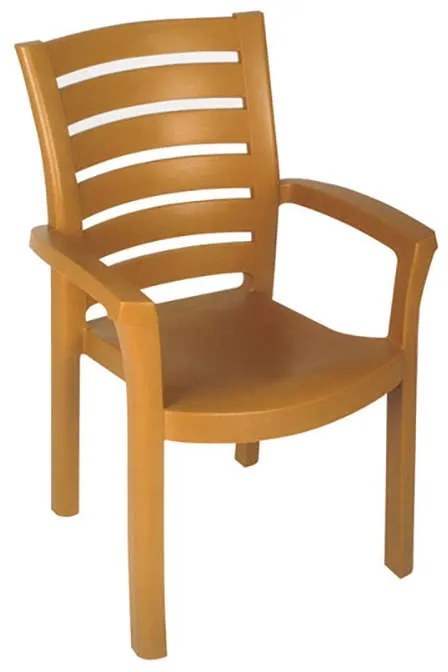 ΚΑΡΕΚΛΑ ΠΛΑΣΤΙΚΗ SKG MARINA TEAK