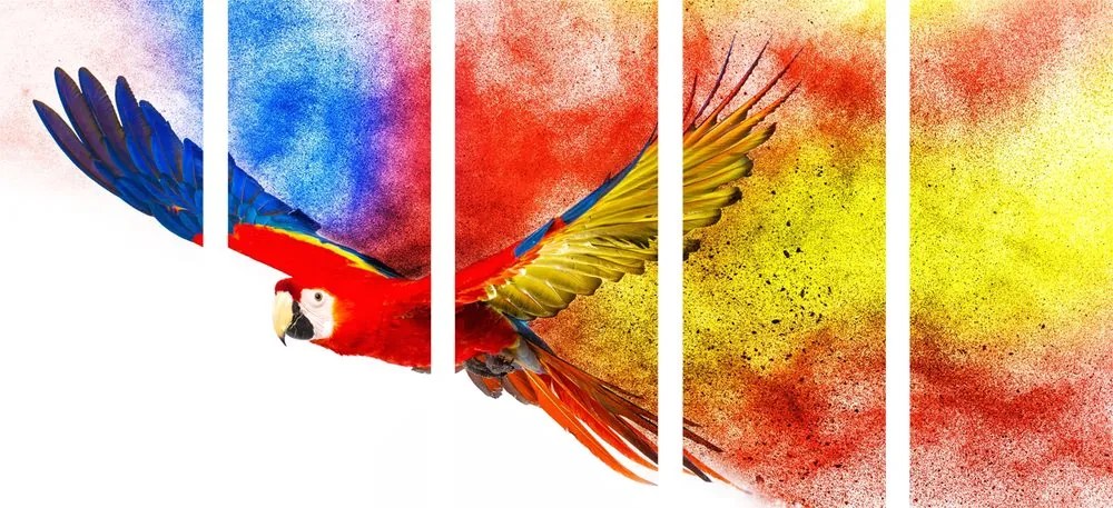 Εικόνα 5 μερών παπαγάλος εν πτήση - 100x50